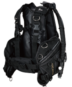 バックポジション